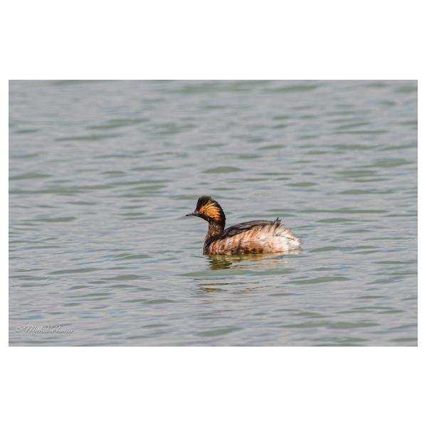 PHOTO84, CLUB, 84 , LUBERON